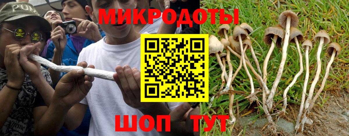Галлюциногенные грибы MAGIC MUSHROOMS  Псилоцибиновые грибы Magic Shrooms  Протвино  Вход с VPN 